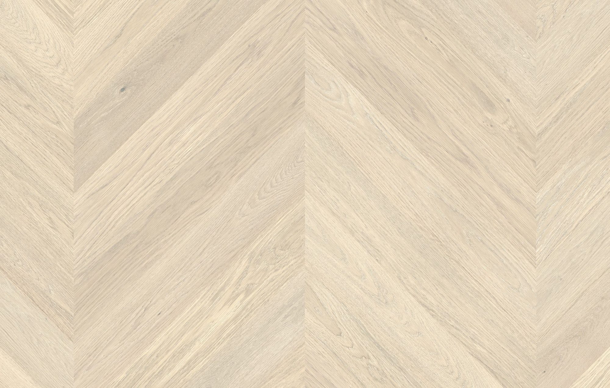 Parchet FertigDeska Chevron Oak Color Bianco