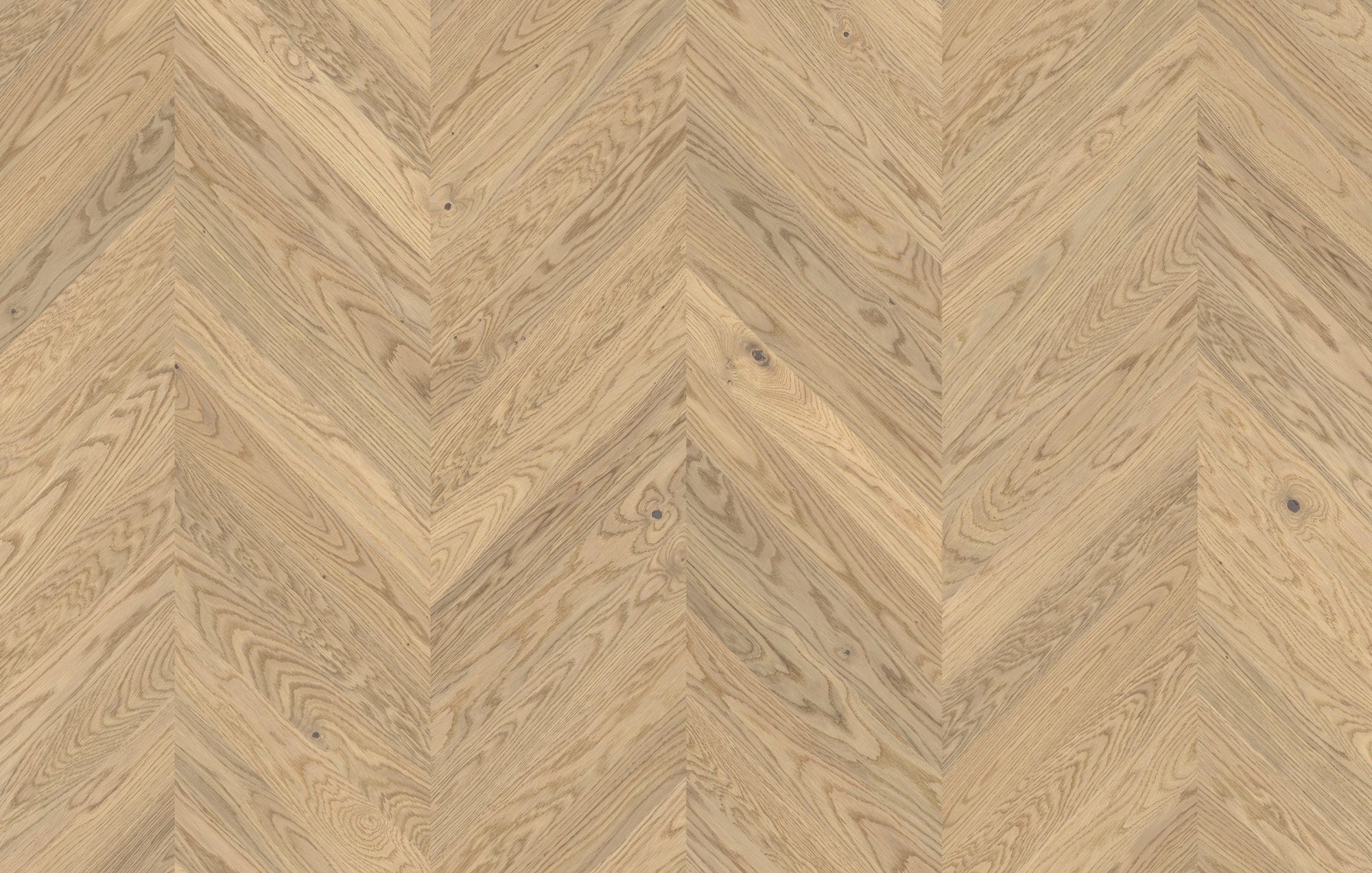Parchet FertigParkiet Chevron Oak Color Alabastro