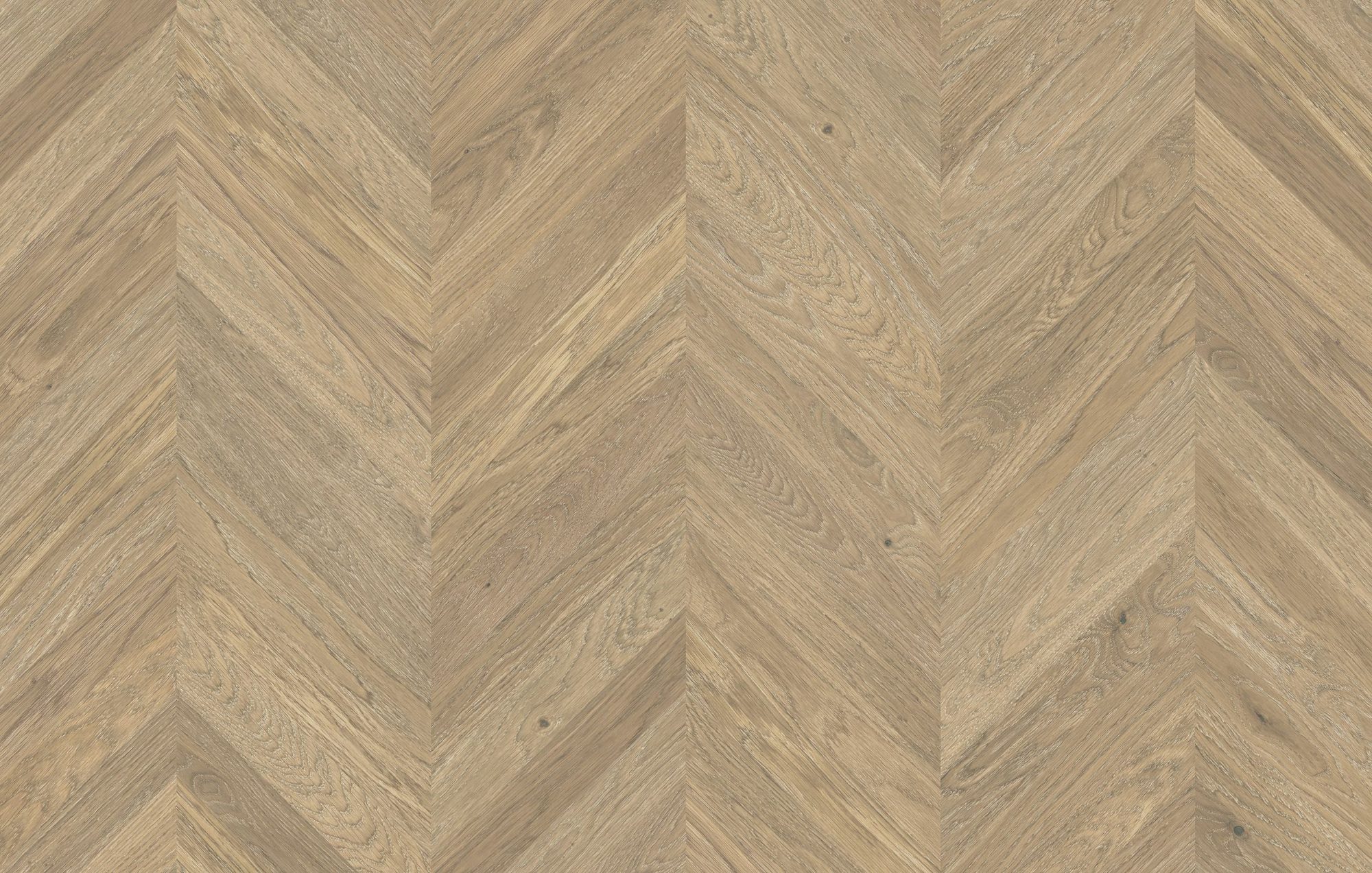 Parchet FertigParkiet Chevron Oak Color Avorio