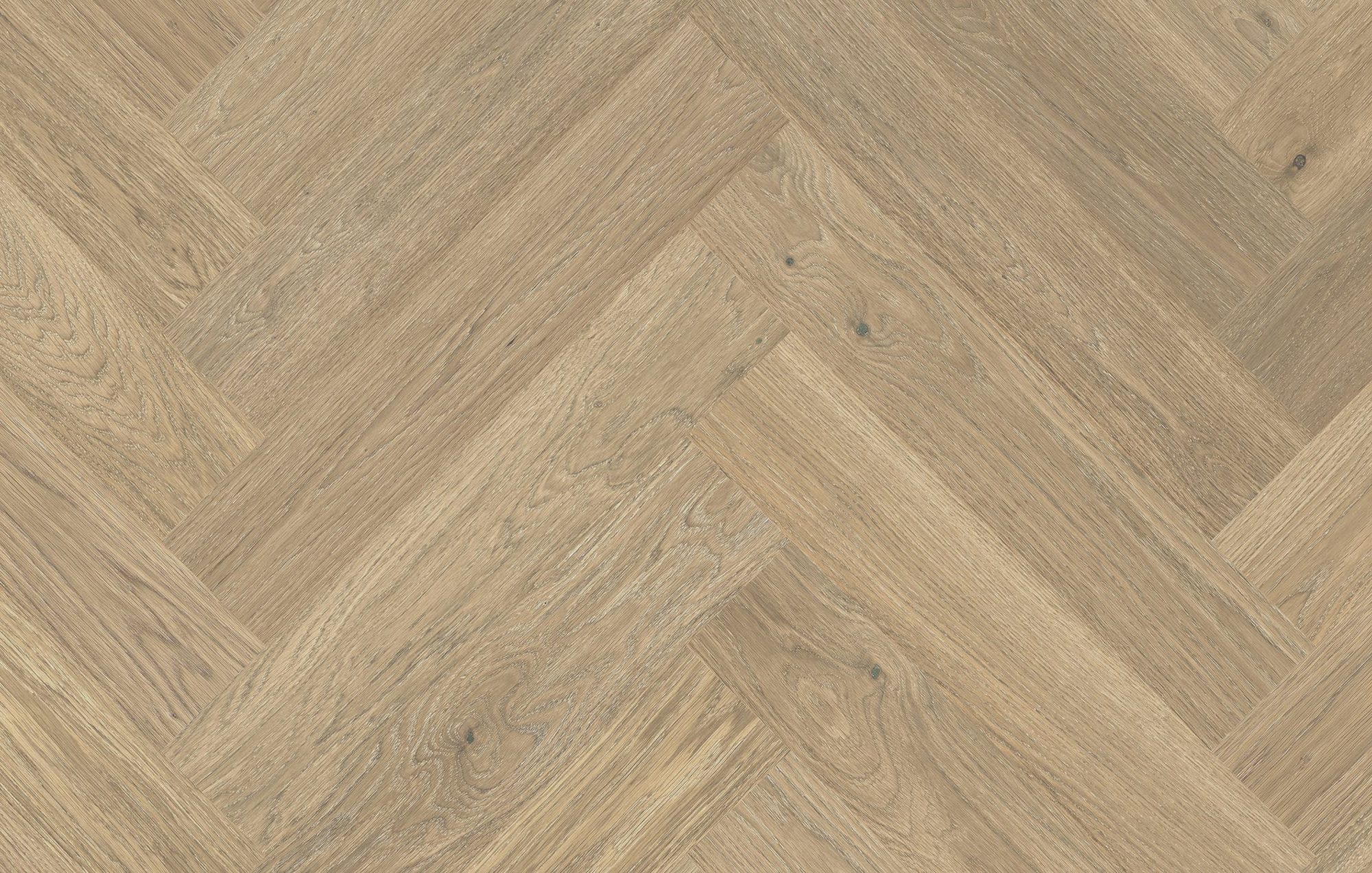 Parchet DE Maxi Oak Color Avorio