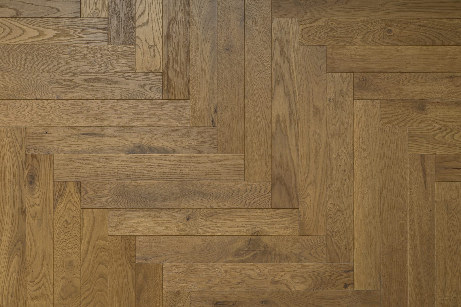 Parchet Oak Soil