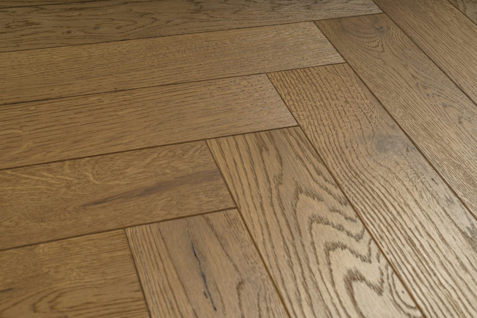 Parchet Oak Soil
