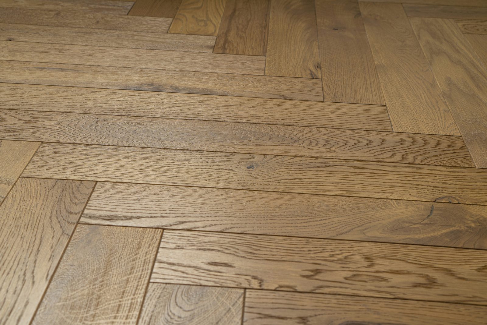 Parchet Oak Soil