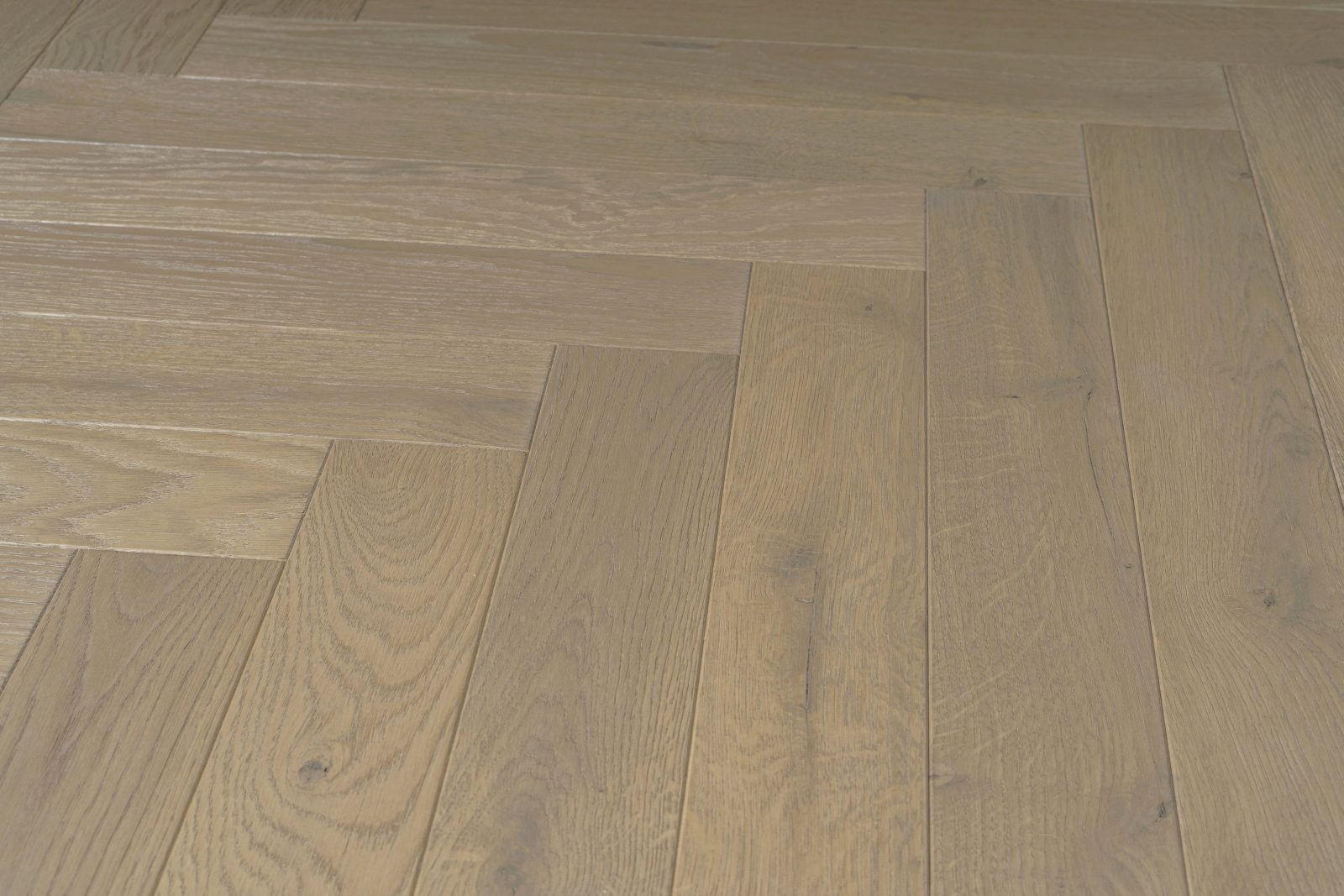 Parchet Oak Cloud