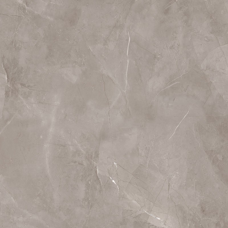Harmonic grey POL, 598 × 598 mm